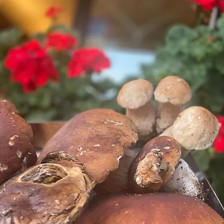 ホテル Mistrello Di Savoia 3*