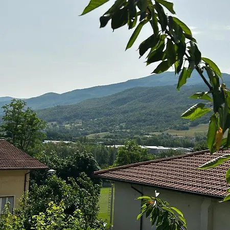 Mistrello Di Savoia Borgo Val di Taro