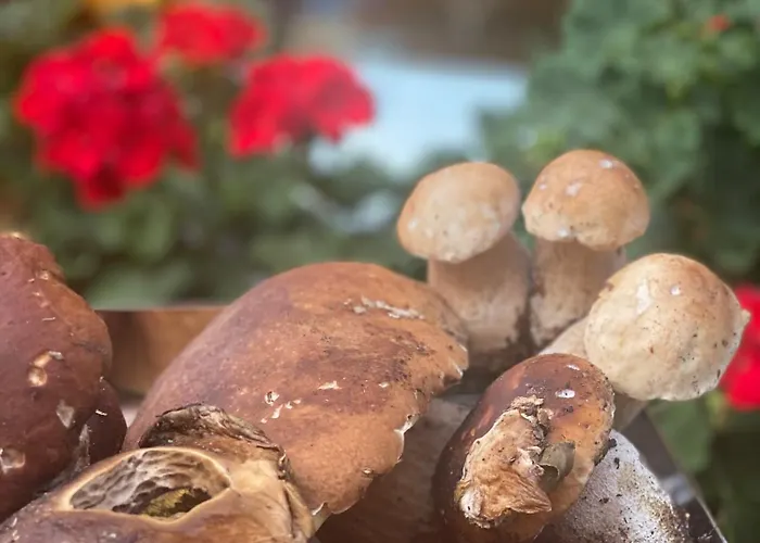 Szálloda Mistrello Di Savoia 3*